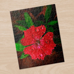 Beautiful Red Dianthus Flower With Raindrops Photo Jigsaw Puzzle