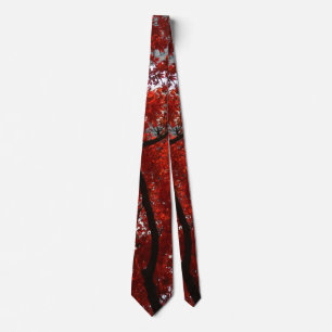 Beautiful Red Fall Leaves on a Tie