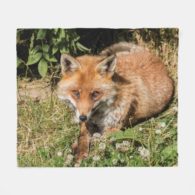 Beautiful red fox fleece blanket (Front (Horizontal))
