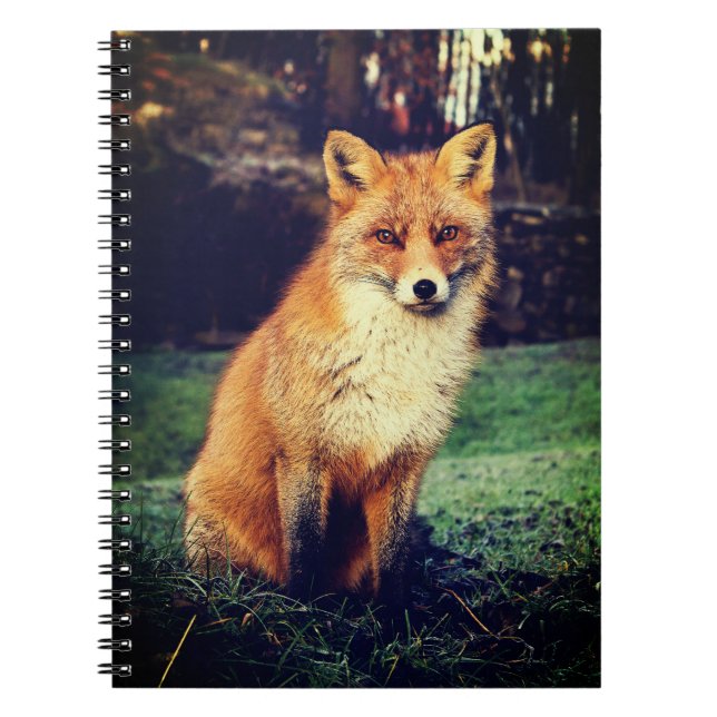 Beautiful Red Fox Notebook (Front)