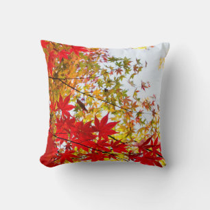 Beautiful Red Leaves Changing Colour Cushion