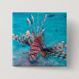 Beautiful Red Lion Fish 15 Cm Square Badge