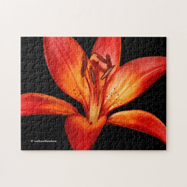Beautiful Red Orange Asiatic Lily Gran Paradiso Jigsaw Puzzle (Horizontal)