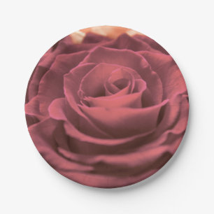 Beautiful red pink roses flowers photo romantic re paper plate