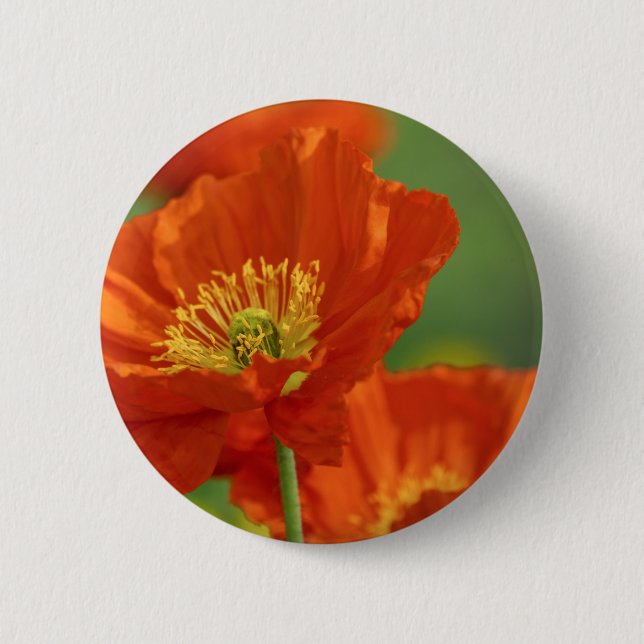 Beautiful Red Poppy 6 Cm Round Badge (Front)
