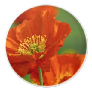 Beautiful Red Poppy Ceramic Knob