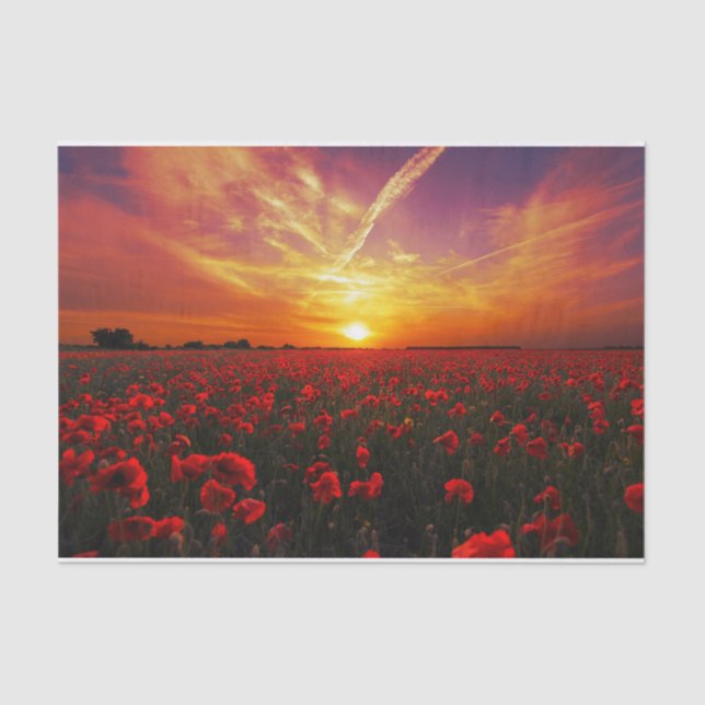 Beautiful red poppy flower field sunset tissue paper (Front)