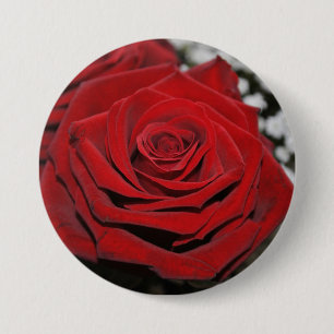 Beautiful Red Rose 7.5 Cm Round Badge