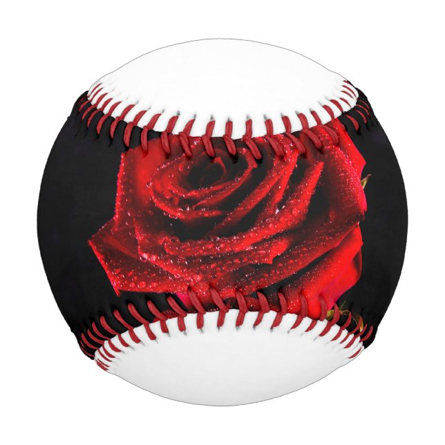 Beautiful red rose baseball (Front)