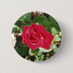 Beautiful Red Rose Button
