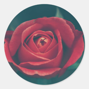 Beautiful Red Rose Flower Wedding Favour Sticker