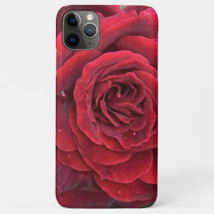 Beautiful red rose iphone 11 Pro Max Barely there Case-Mate iPhone Case