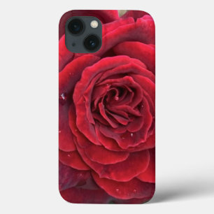 Beautiful red rose iphone 13 case