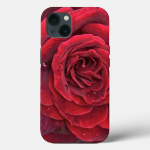 Beautiful red rose iphone 13 tough case