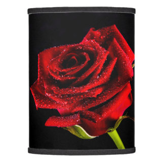 Beautiful red rose lamp