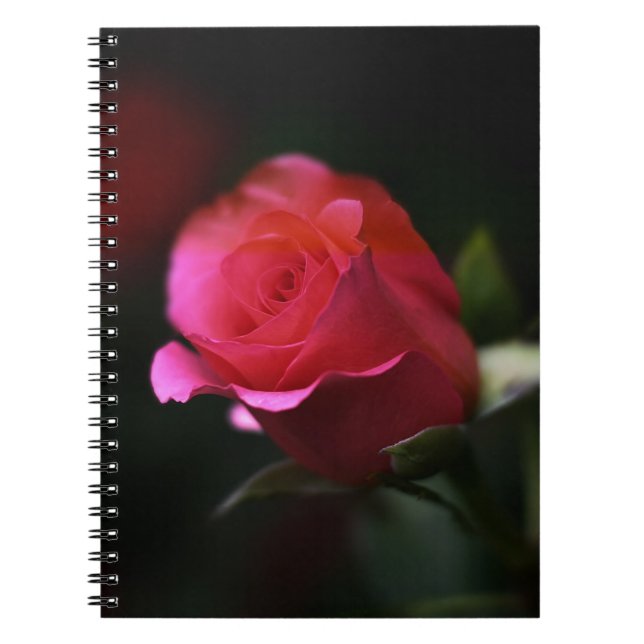 Beautiful Red Rose Spiral Notebook (Front)