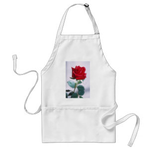 Beautiful Red Rose Standard Apron