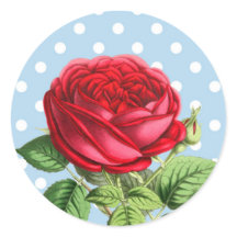 Beautiful red rose stickers