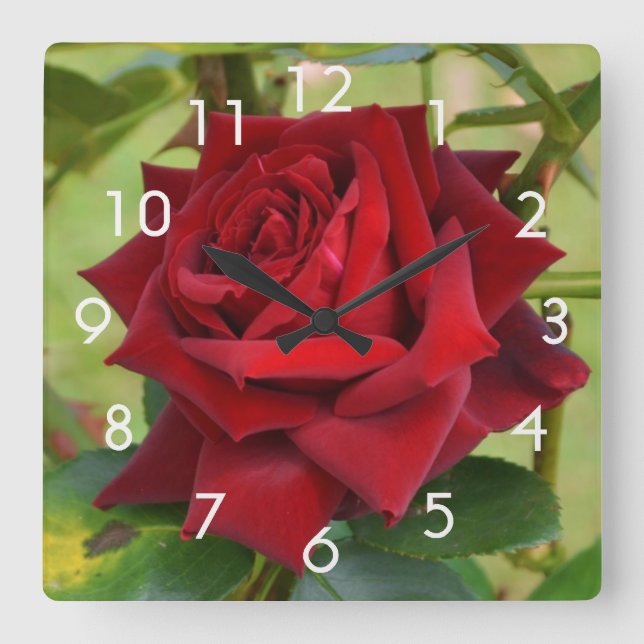 Beautiful Red Rose Wall Clock (Front)