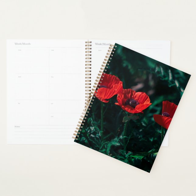Beautiful Red Three Poppy Flowers Planner (Display)