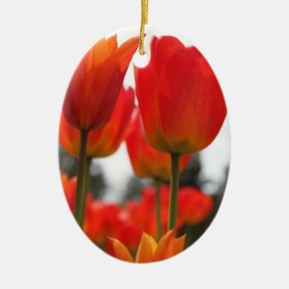 Beautiful Red Tulip Flowers. Ceramic Tree Decoration