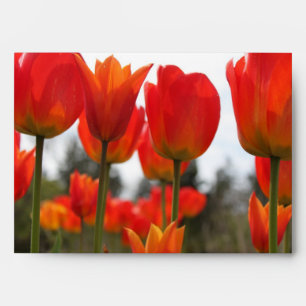 Beautiful Red Tulip Flowers. Envelopes