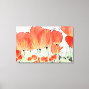 beautiful red tulip flowers wrapped canvas