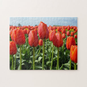 Beautiful red tulips print puzzle