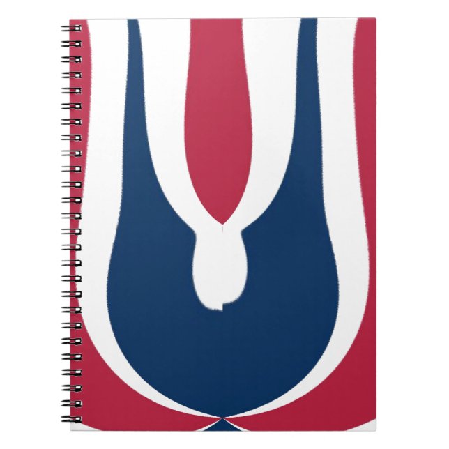 Beautiful Red, White, Blue Texture Colour Abstract Spiral Notebook (Front)