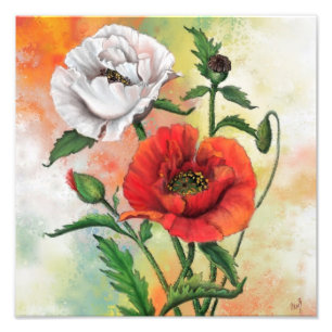Beautiful Red White Poppies Art Painting Photo Print