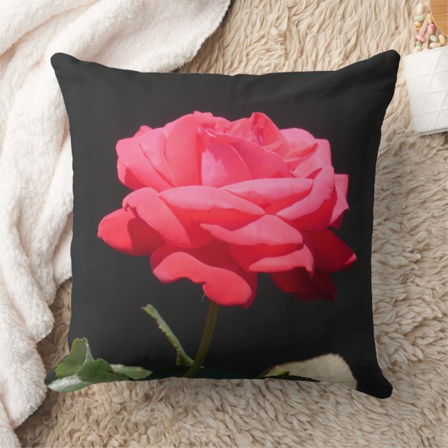 Beautiful Redish Pink Rose Close Up Pillow (Blanket)