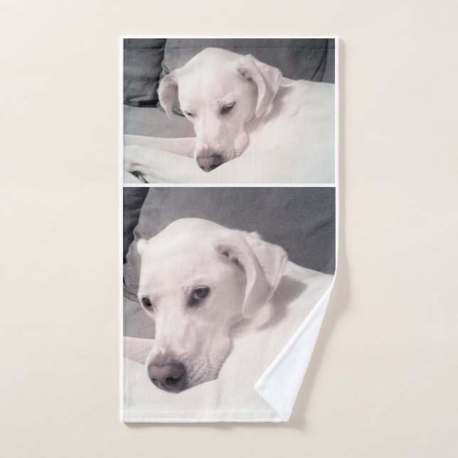 Beautiful Regal White Labrador Mix Dog Grey Hand T Towel (Hand Towel)