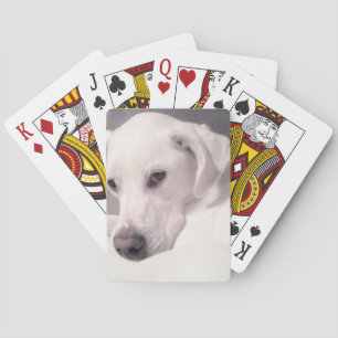 Beautiful Regal White Labrador Mix Dog Grey Playin Playing Cards