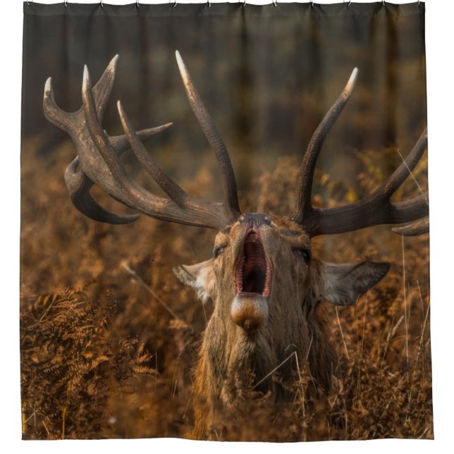 BEAUTIFUL REINDEER WILD ANIMALS SHOWER CURTAIN (Front)