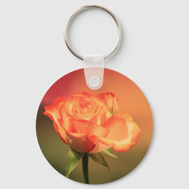 Beautiful Romantic Rose Photograph Key Ring (Front)