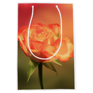 Beautiful Romantic Rose Photograph Medium Gift Bag