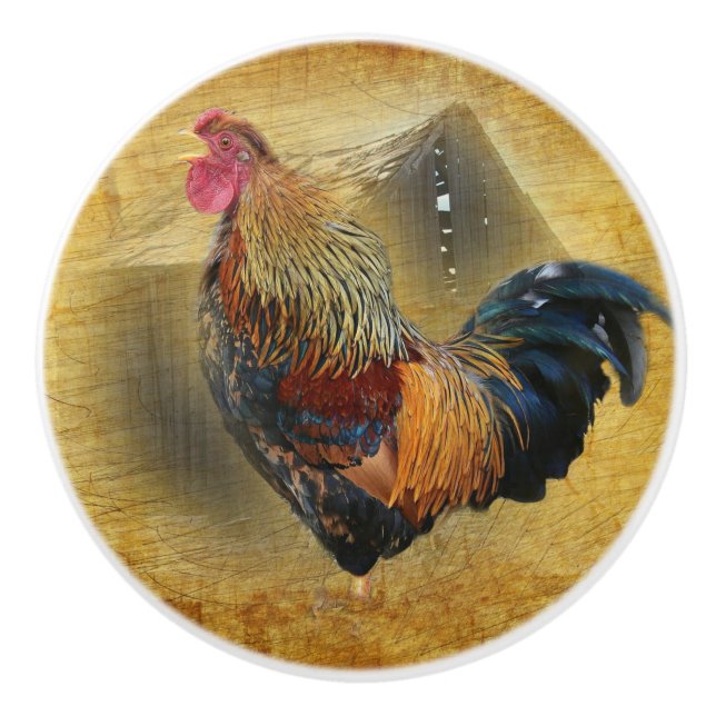 Beautiful Rooster and Rustic Barn Chicken Coop Ceramic Knob (Front)