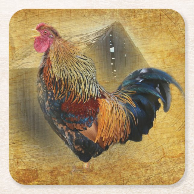 Beautiful Rooster and Rustic Barn Chicken Coop Square Paper Coaster (Front)