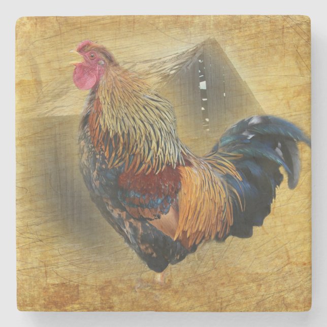 Beautiful Rooster and Rustic Barn Chicken Coop Stone Coaster (Front)
