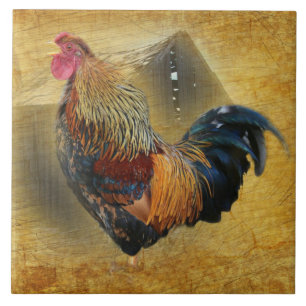 Beautiful Rooster and Rustic Barn Chicken Coop Tile