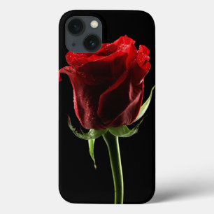 Beautiful Rose and Colour Fabric iPhone 13 Case