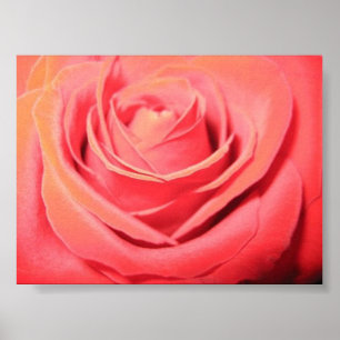 Beautiful Rose Canvas Poster