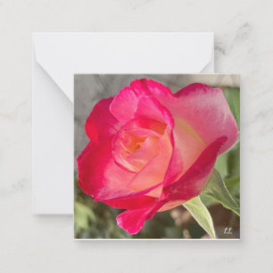 Beautiful Rose Card