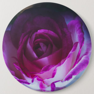 Beautiful rose flower 6 cm round badge