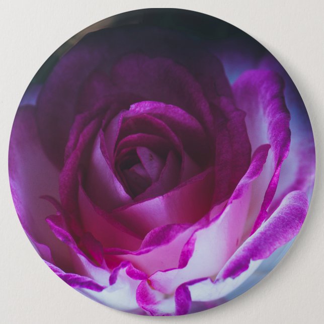 Beautiful rose flower 6 cm round badge (Front)