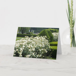 Beautiful Rose Garden Floral Photo Custom Card