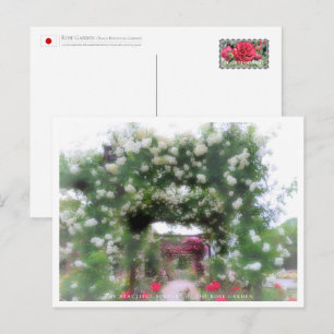 Beautiful Rose Garden Postcard
