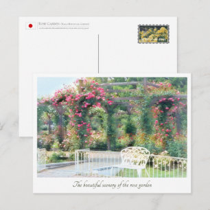 Beautiful Rose Garden Postcard