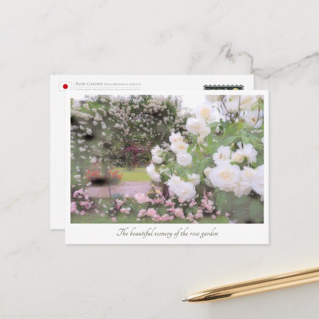 Beautiful Rose Garden Postcard (Front/Back In Situ)