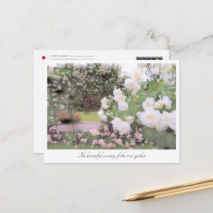 Beautiful Rose Garden Postcard